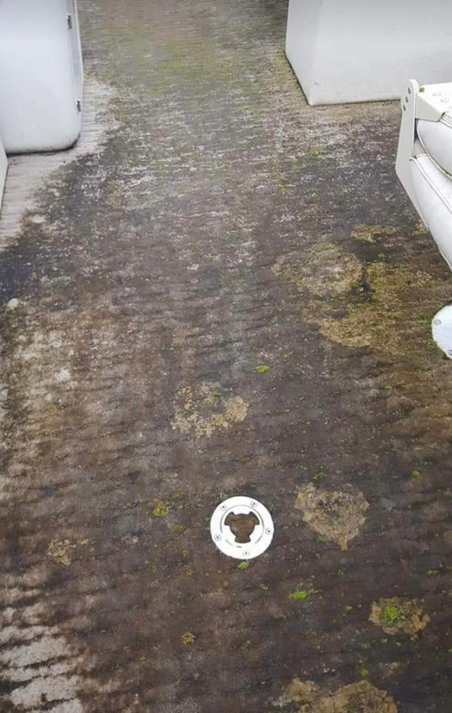 Mildewed carpet before cleaning