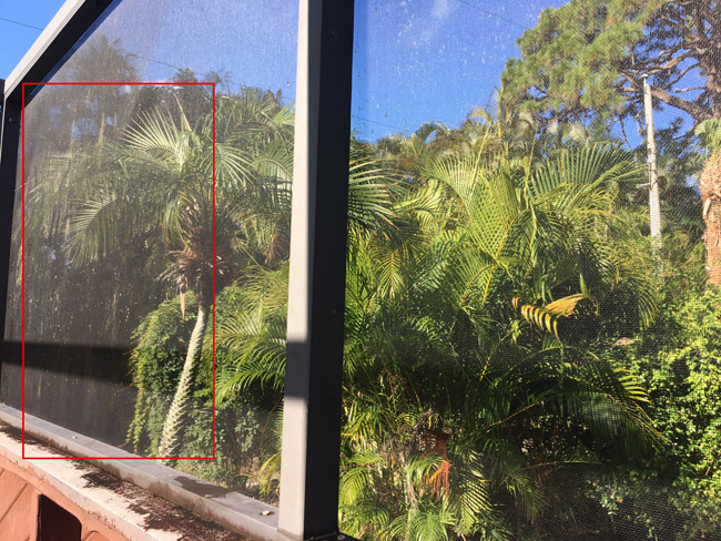 Mildew stained screen after cleaning.