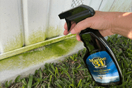 Marine 31 Mildew Stain Remover Home Guide